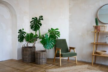 Embracing Biophilic Design Bringing Nature Indoors in Little Rock Custom Homes
